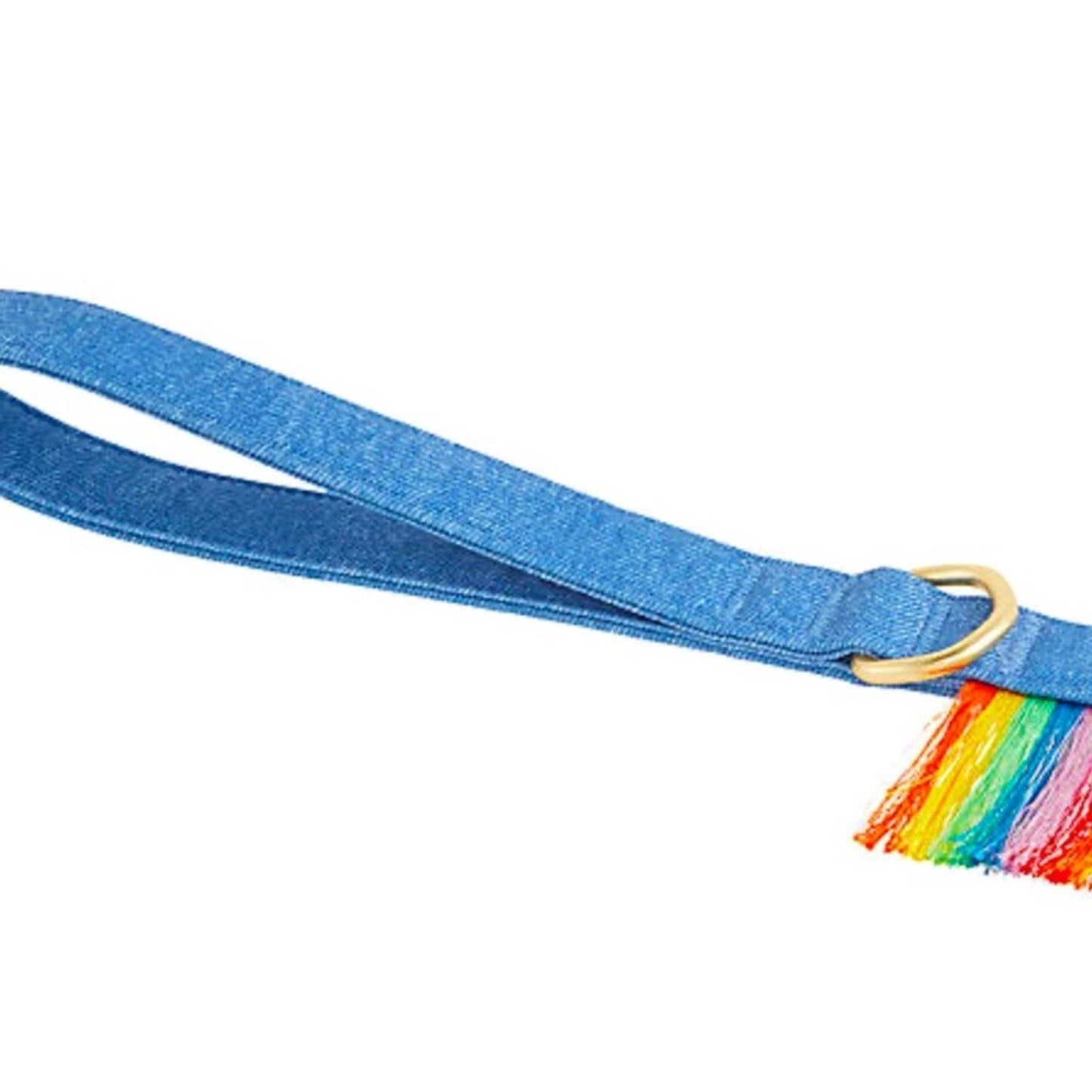 NWT You’re Loved 4ft Pride Rainbow Fringe & Denim Pet Leash PetSmart Colorful