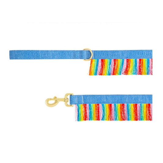 NWT You’re Loved 4ft Pride Rainbow Fringe & Denim Pet Leash PetSmart Colorful