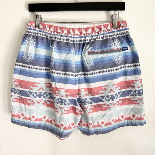 Chubbies (L) 5.5" Inseam Brief Lined Swim Trunks “City Slicker” Aztec Pineapple