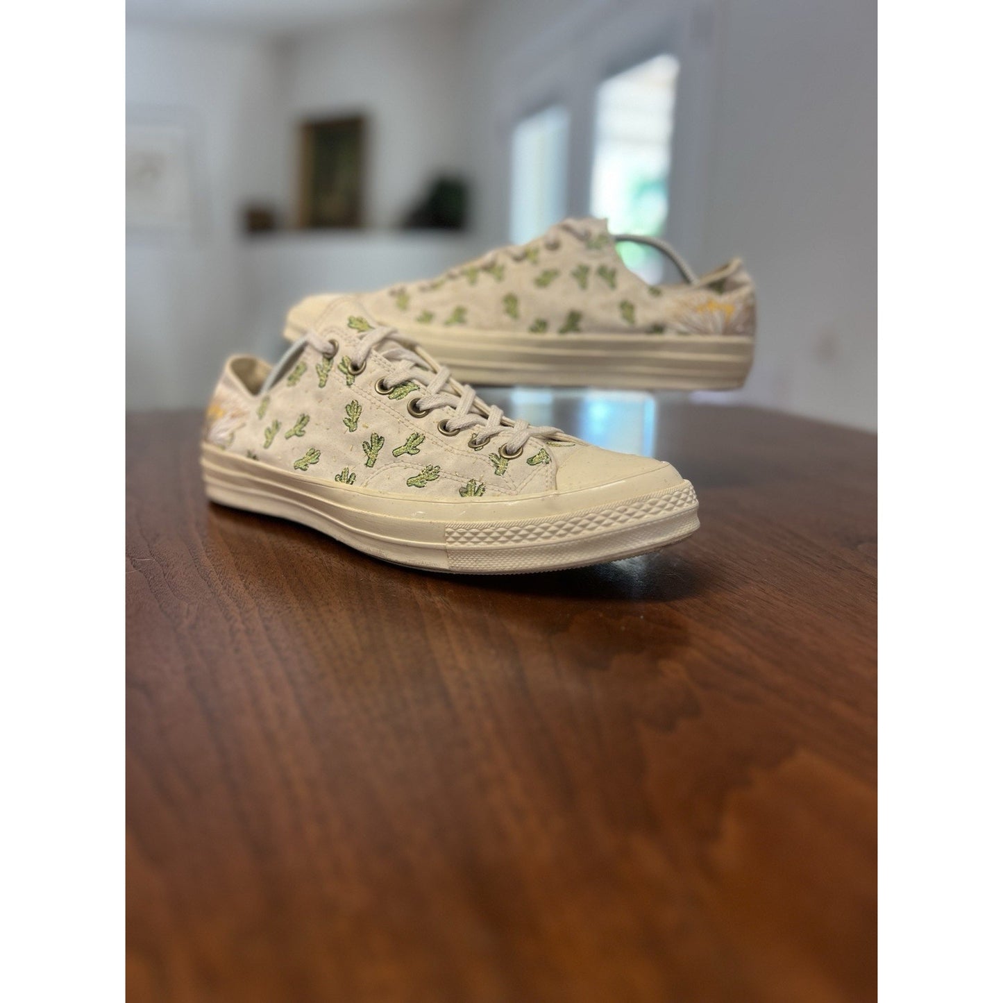 Converse Chuck 70 Low Cactus Embroidery 2018 White Off-White 161380C Sz 12