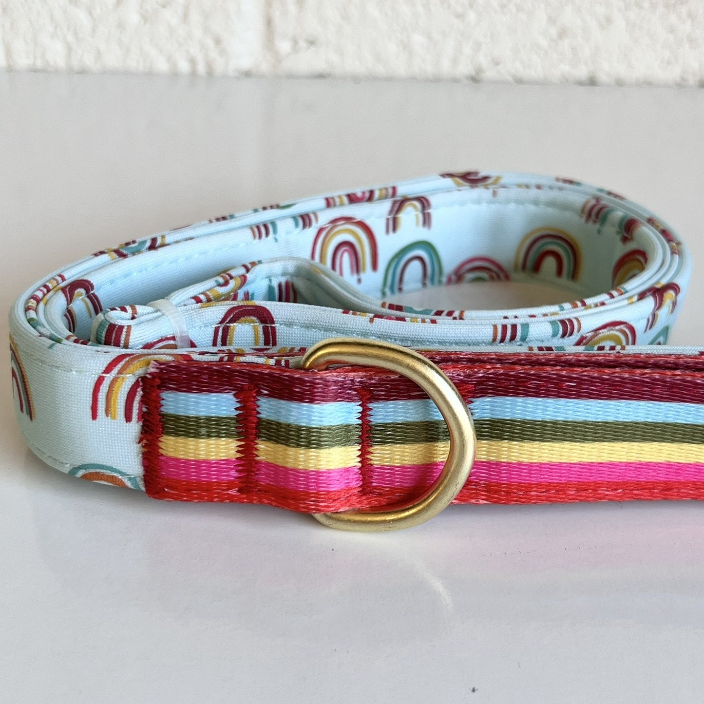 NEW Unisex Pride Rainbow Top Paw 4 Ft Neoprene Leash Dog Puppy NWT