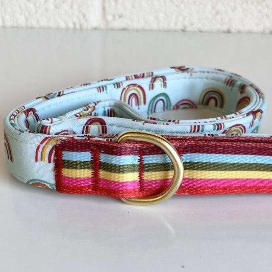 NEW Unisex Pride Rainbow Top Paw 4 Ft Neoprene Leash Dog Puppy NWT