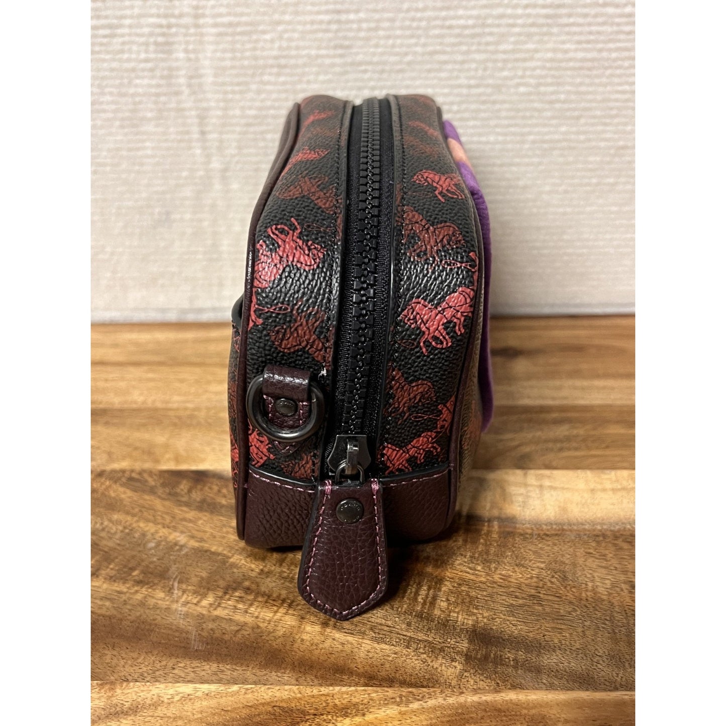 COACH Camera Bag 16 w/ Horse & Carriage Print & Varsity Stripe - #79368