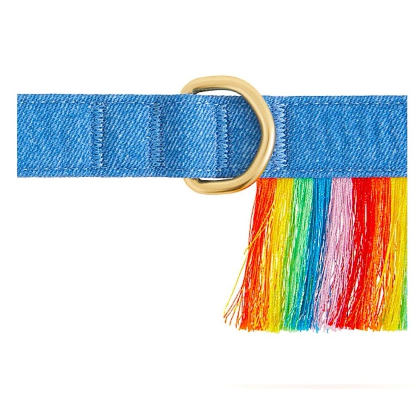 NWT You’re Loved 4ft Pride Rainbow Fringe & Denim Pet Leash PetSmart Colorful