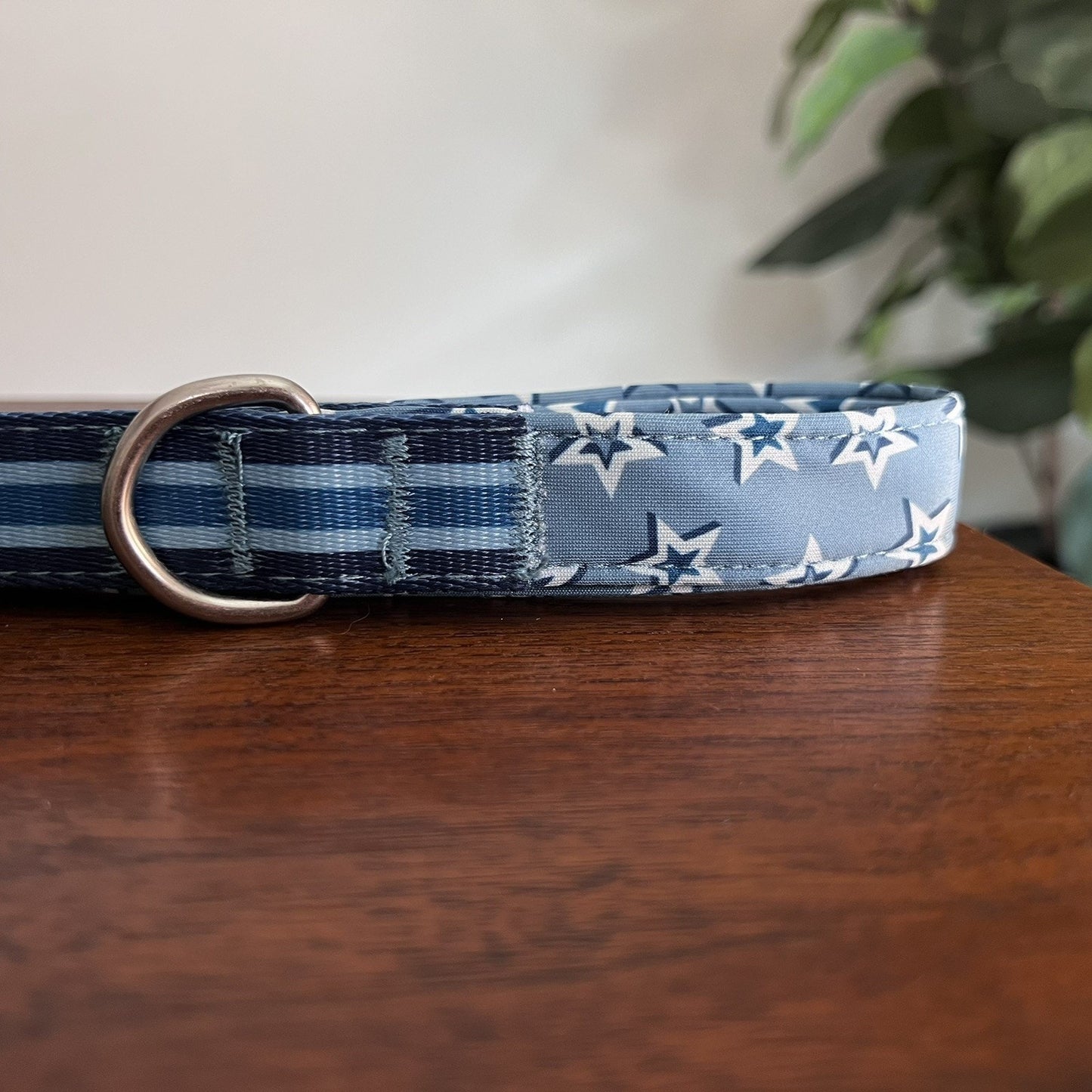 NWT 4’ Short Unisex Star Stripes Blue Dog Puppy Neoprene Leash Top Paw Petsmart