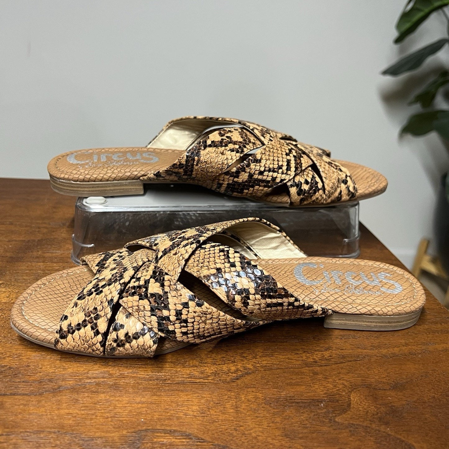 Circus Sam Edelman Burnett Slides Sandal 9M Snakeskin Print Slip On Flat Shoe
