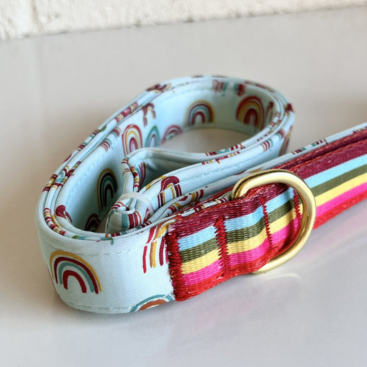 NEW Unisex Pride Rainbow Top Paw 4 Ft Neoprene Leash Dog Puppy NWT