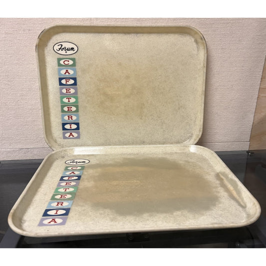 Vtg 1960s / 1970s Camtray Forum Cafeteria MCM Fiberglass Tray by Cambro Mfg Co
