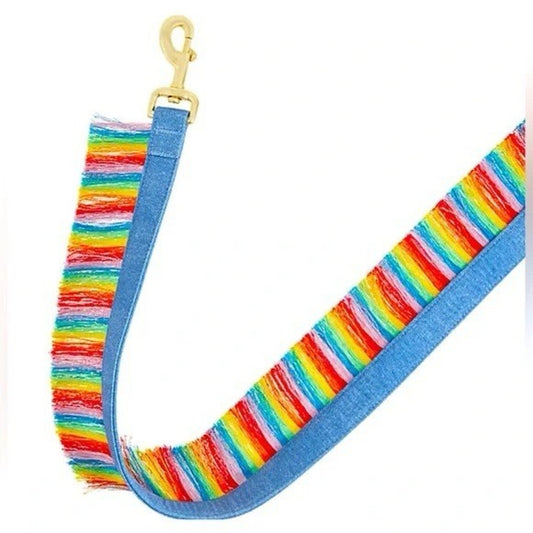 NWT You’re Loved 4ft Pride Rainbow Fringe & Denim Pet Leash PetSmart Colorful