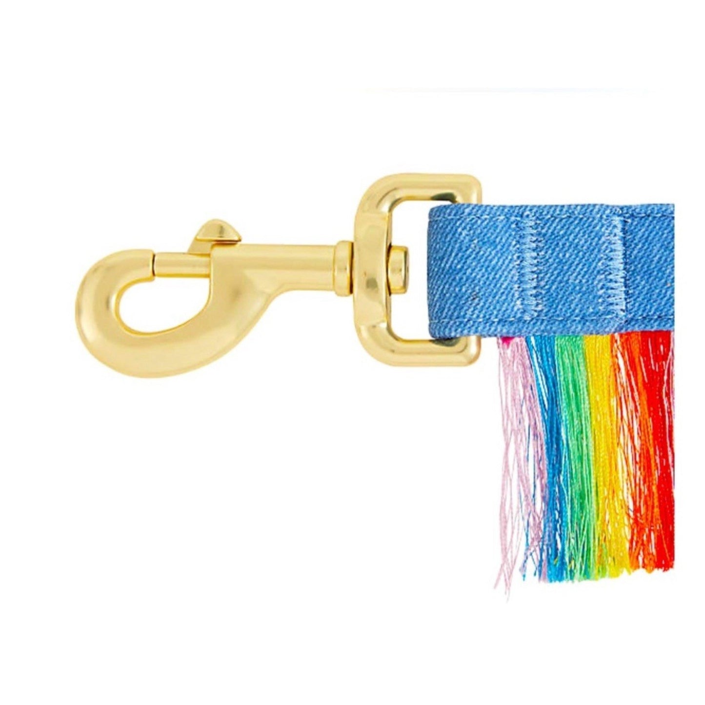 NWT You’re Loved 4ft Pride Rainbow Fringe & Denim Pet Leash PetSmart Colorful