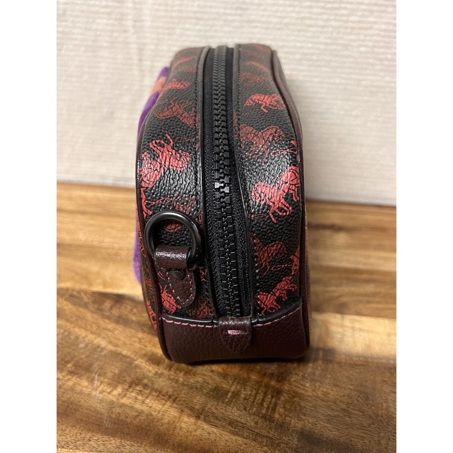 COACH Camera Bag 16 w/ Horse & Carriage Print & Varsity Stripe - #79368