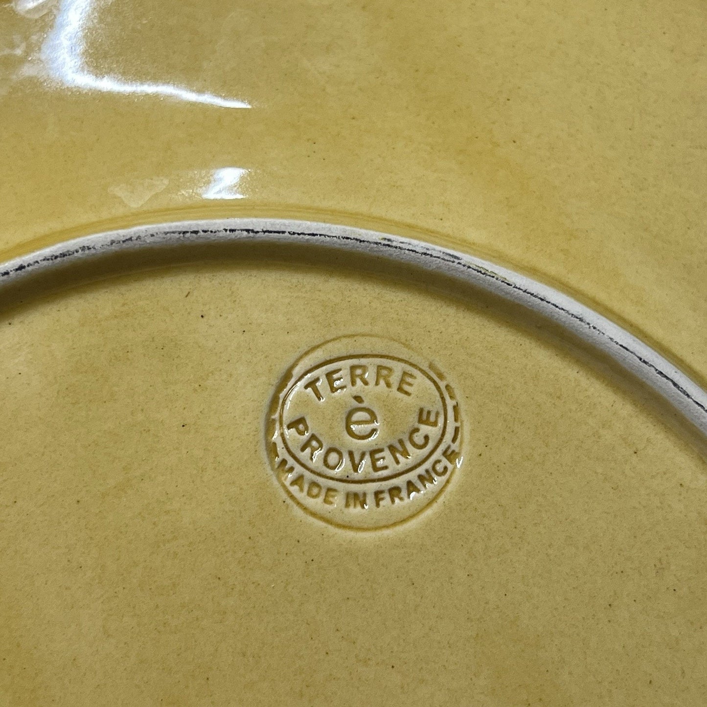 Souleo Terre è Provence 11.5" Dinner Plates Made in France TPR4 Earthenware