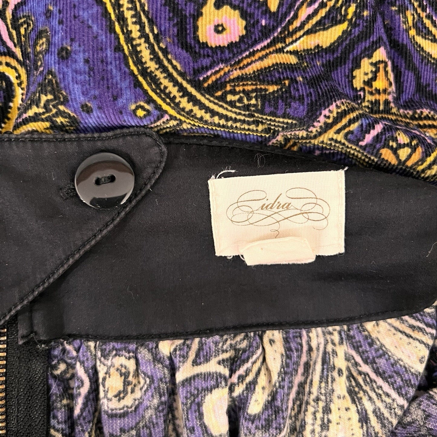 Cidra (6) Anthropologie Miniskirt Baroque Paisley Corduroy Pleated Tapestry