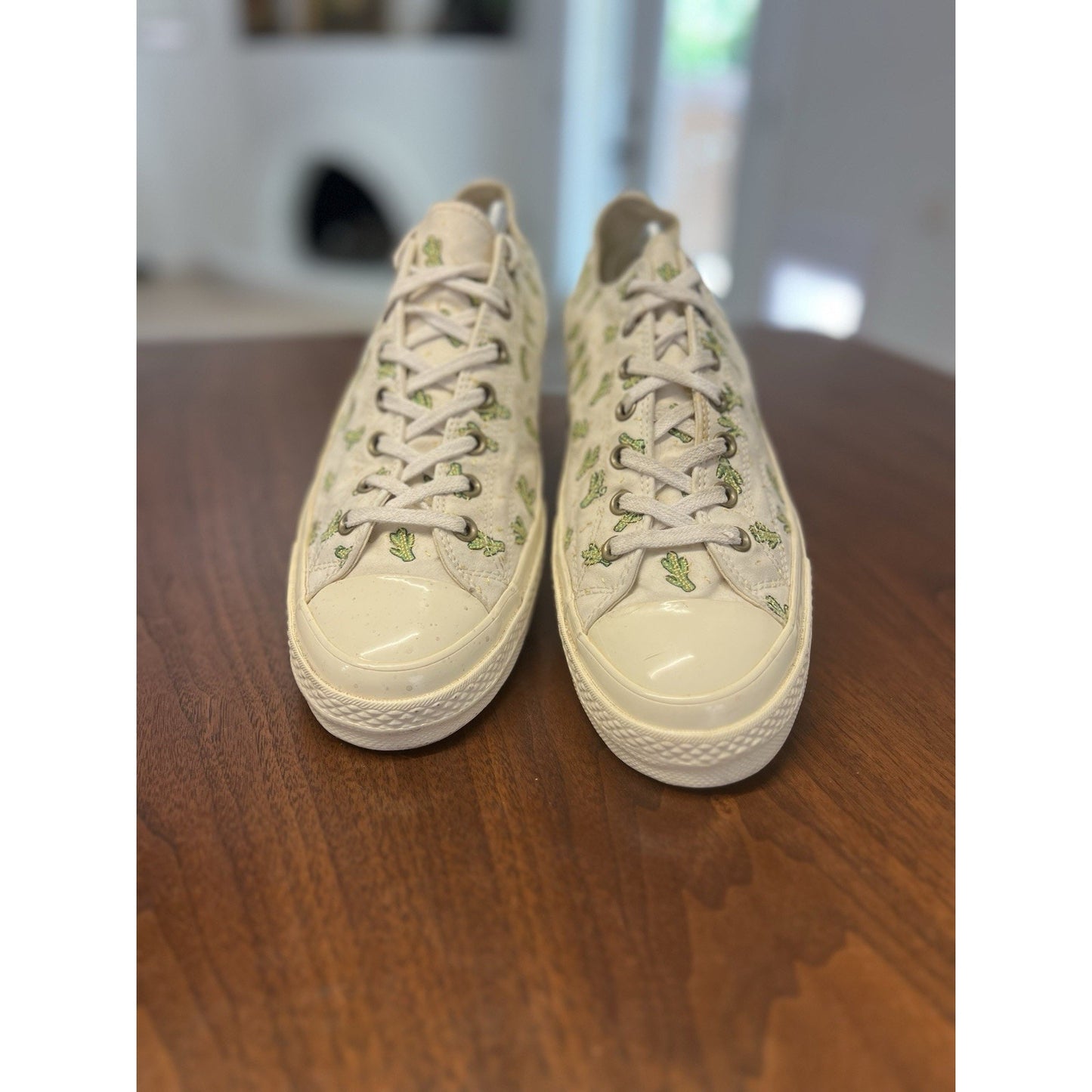 Converse Chuck 70 Low Cactus Embroidery 2018 White Off-White 161380C Sz 12