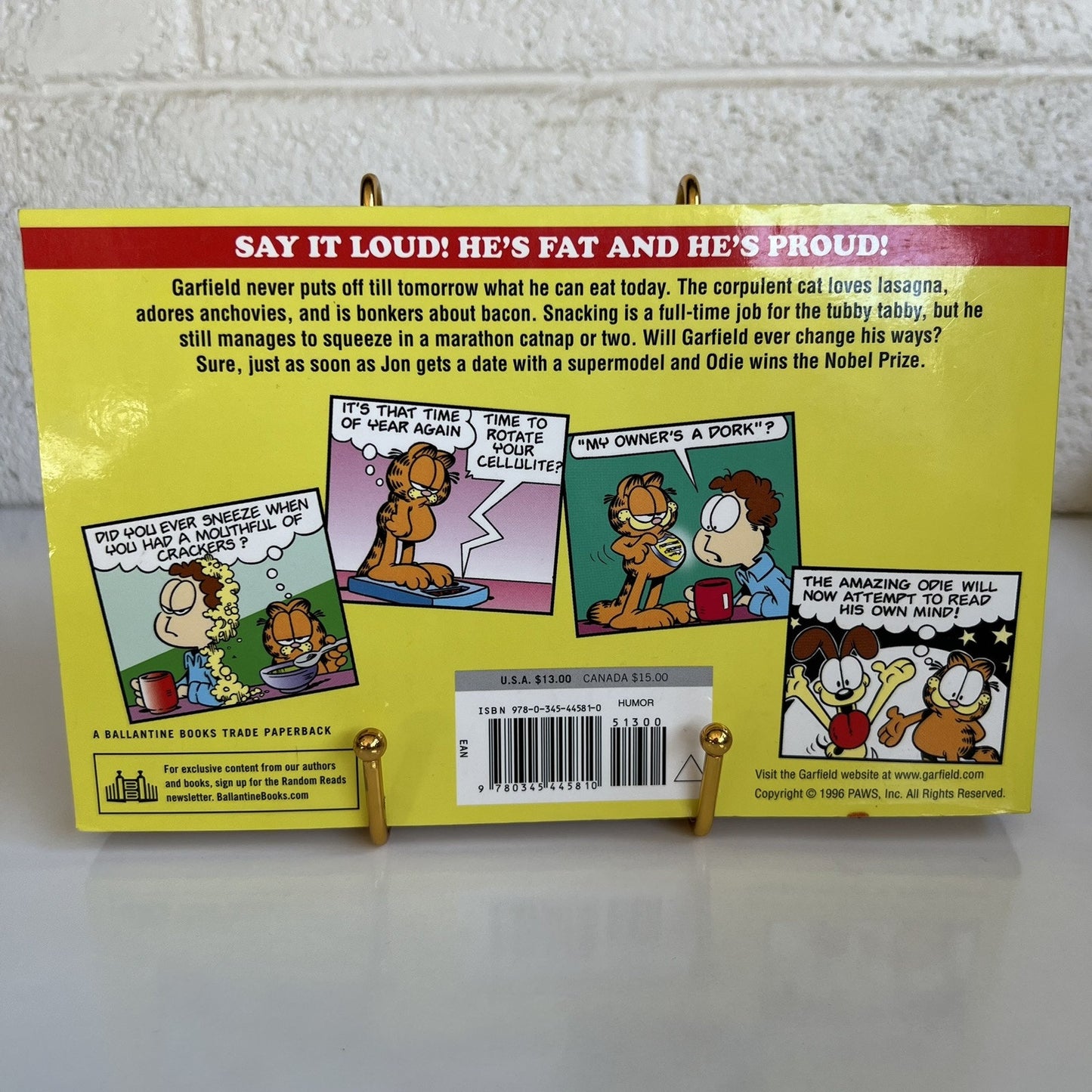 Vintage Garfield Fat Cat 3-Pack #12 Books 34, 35 & 36 First Edition 2001