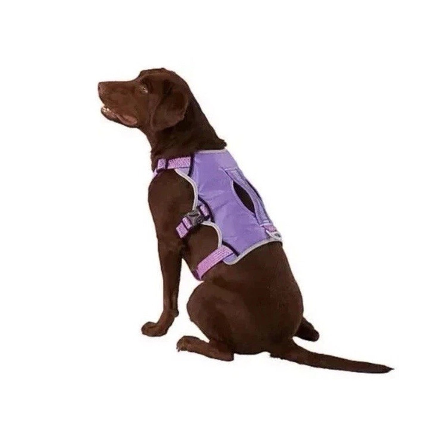 NWT Arcadia Trail XXL Security Harness Dog Puppy Purple Pink Escape Proof