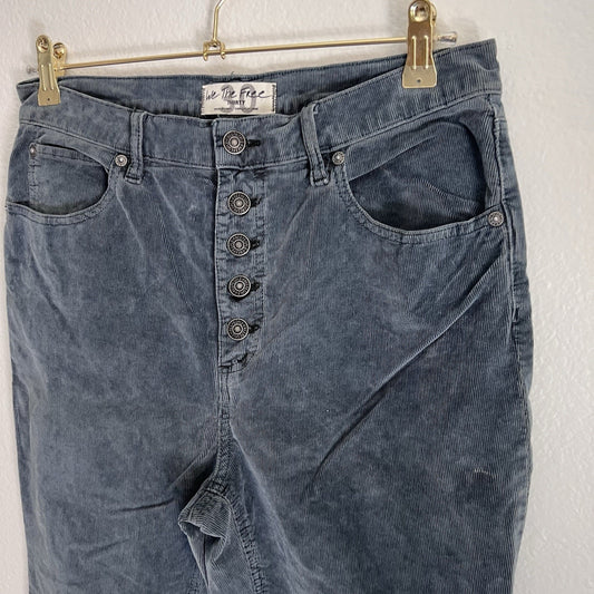 We The Free People (30) Corduroy Button-Fly Blue Stretch Skinny Jean Pant Retro