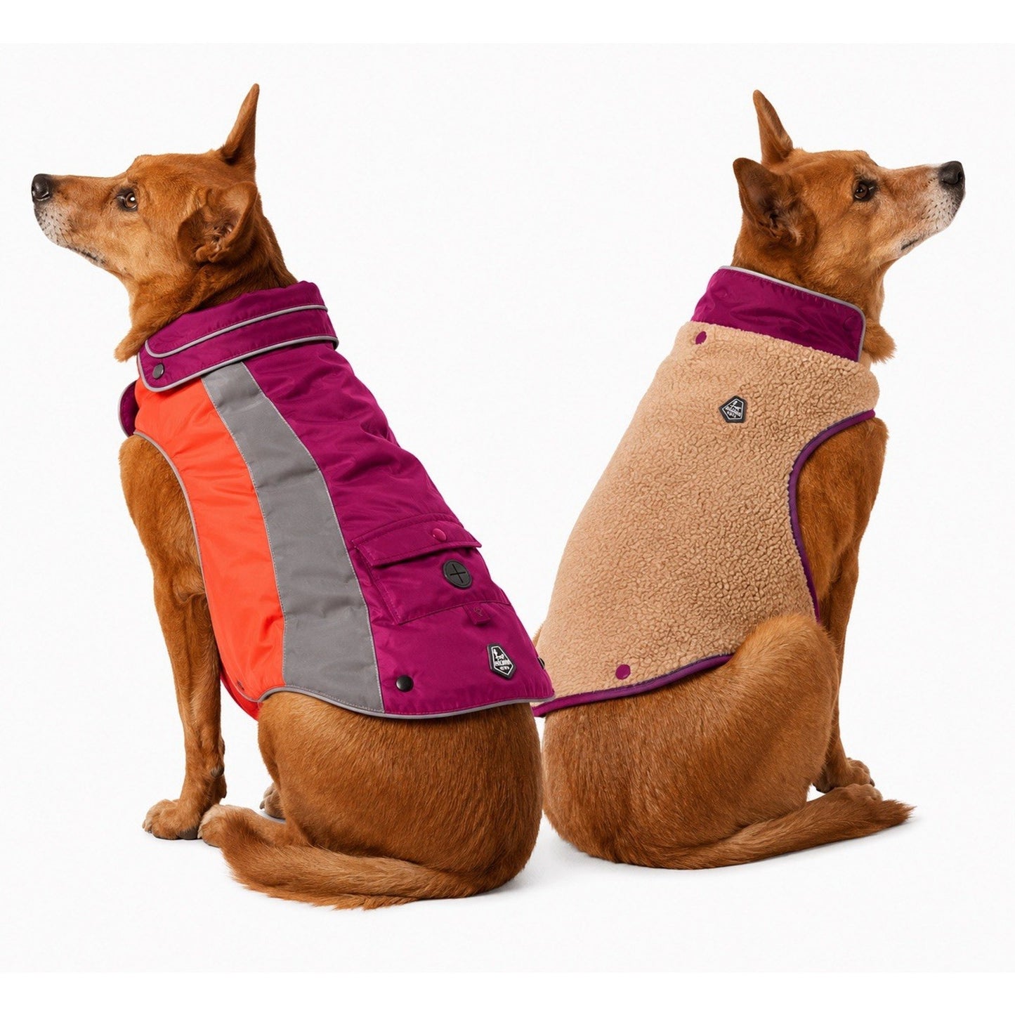 Arcadia Trail XXL Dog Coat Removable Fleece Liner Reflective Water Repel Camping