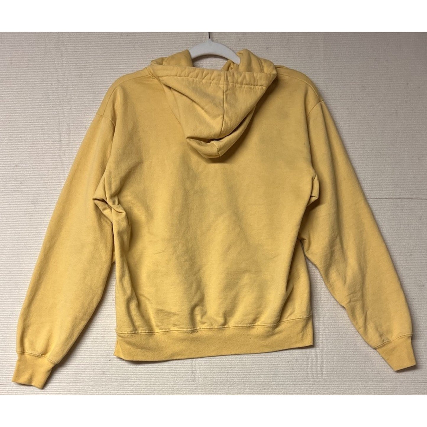 Disney Parks Retro Rainbow Collection, 1970s throwback Hoodie / Tee / Mug