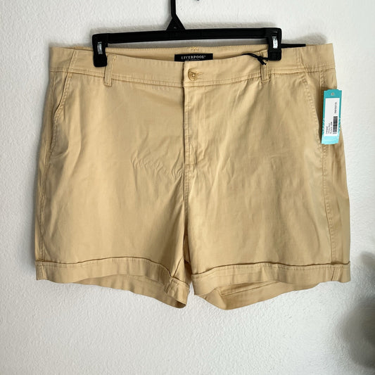 NWT Liverpool (22) Chino Johnny Trouser Short Butter Yellow Cuffed Hem Stretch