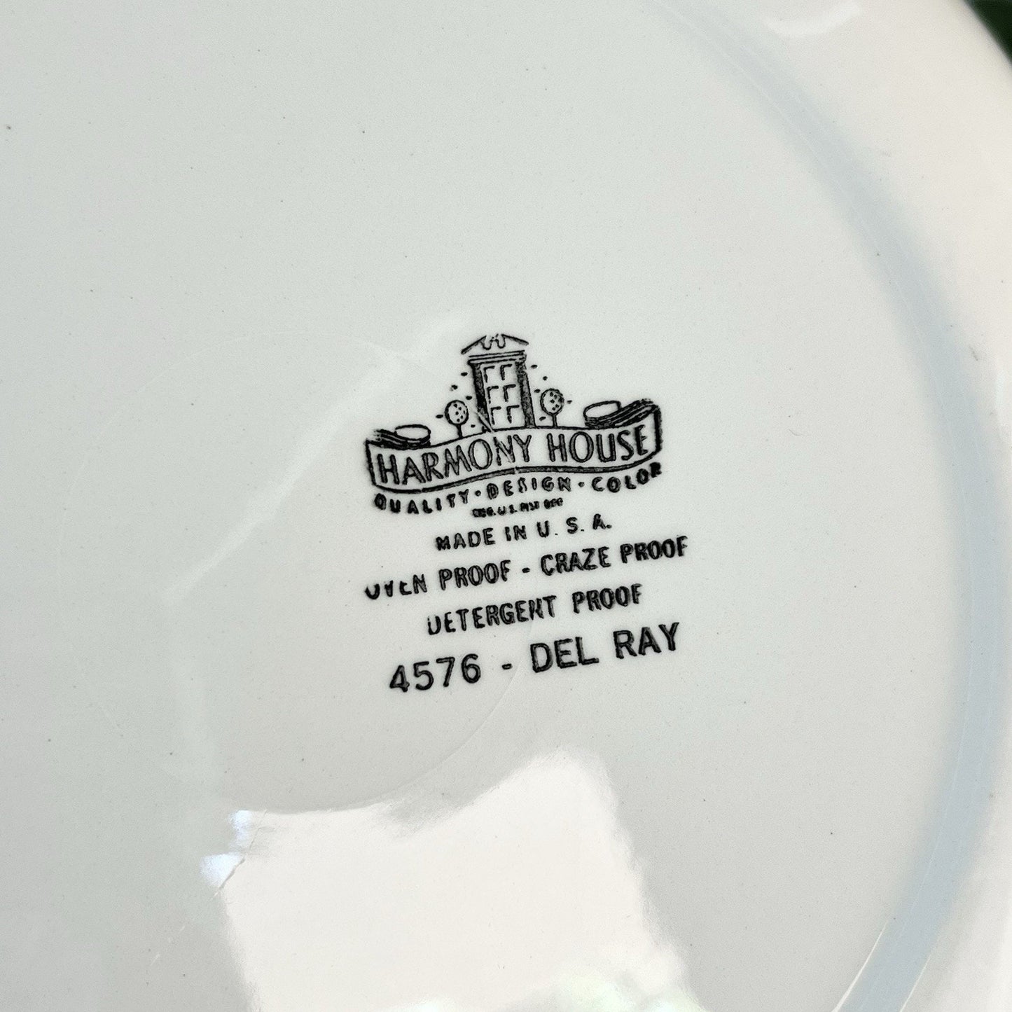 Taylor Smith & Taylor Del Ray 4576 Dinner Plates Platter Sears Harmony House