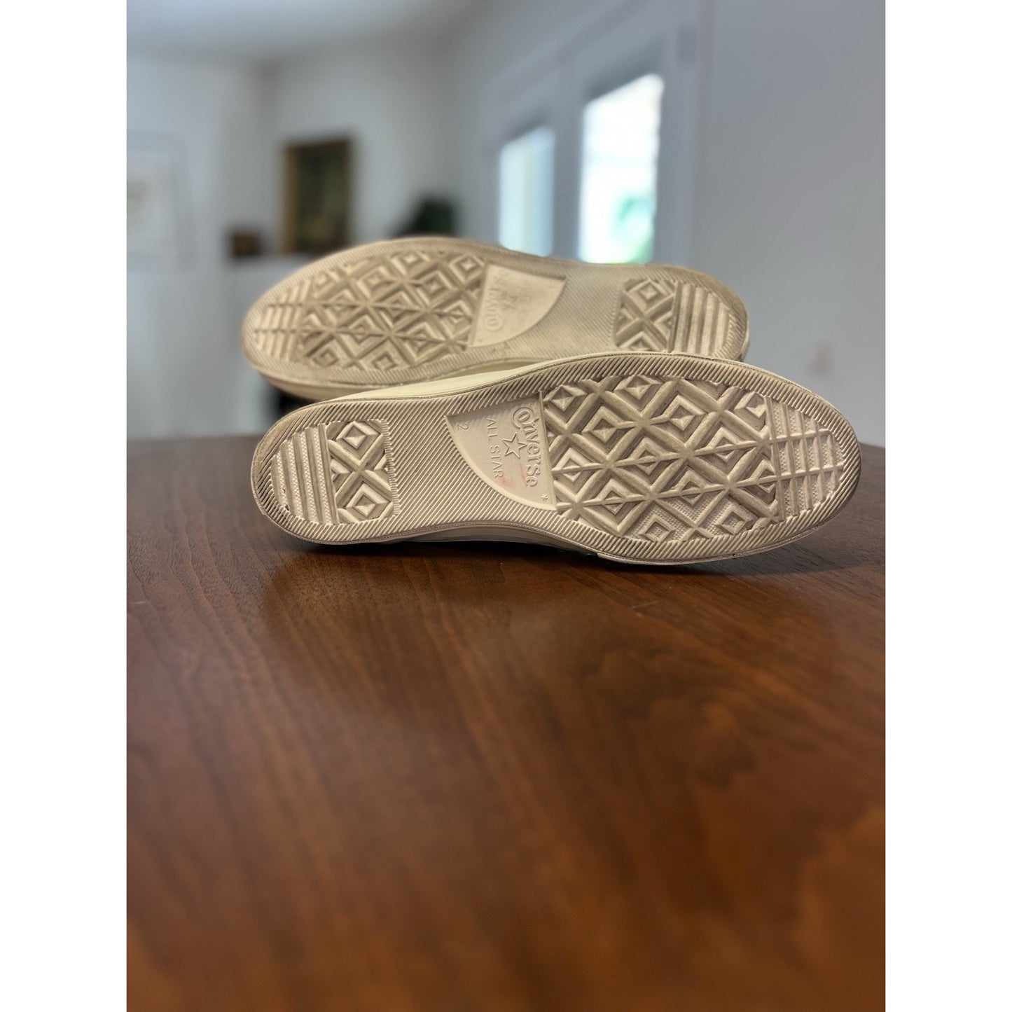 Converse Chuck 70 Low Cactus Embroidery 2018 White Off-White 161380C Sz 12