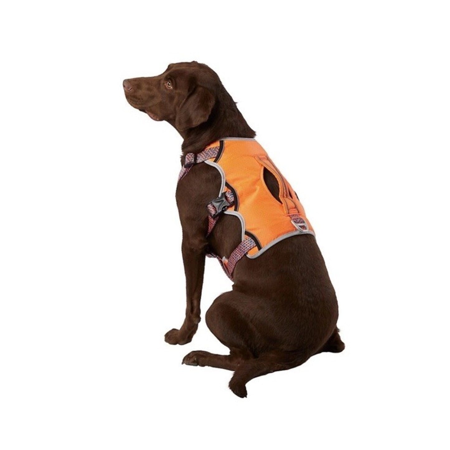 NWT Arcadia Trail Security Harness SMALL Dog Puppy Orange Blue Unisex Reflective