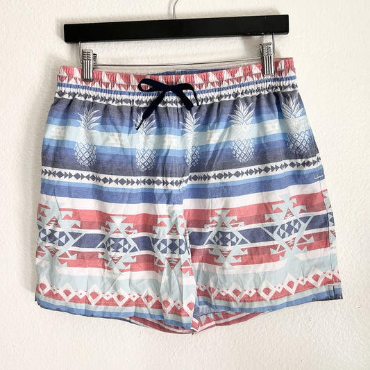 Chubbies (L) 5.5" Inseam Brief Lined Swim Trunks “City Slicker” Aztec Pineapple