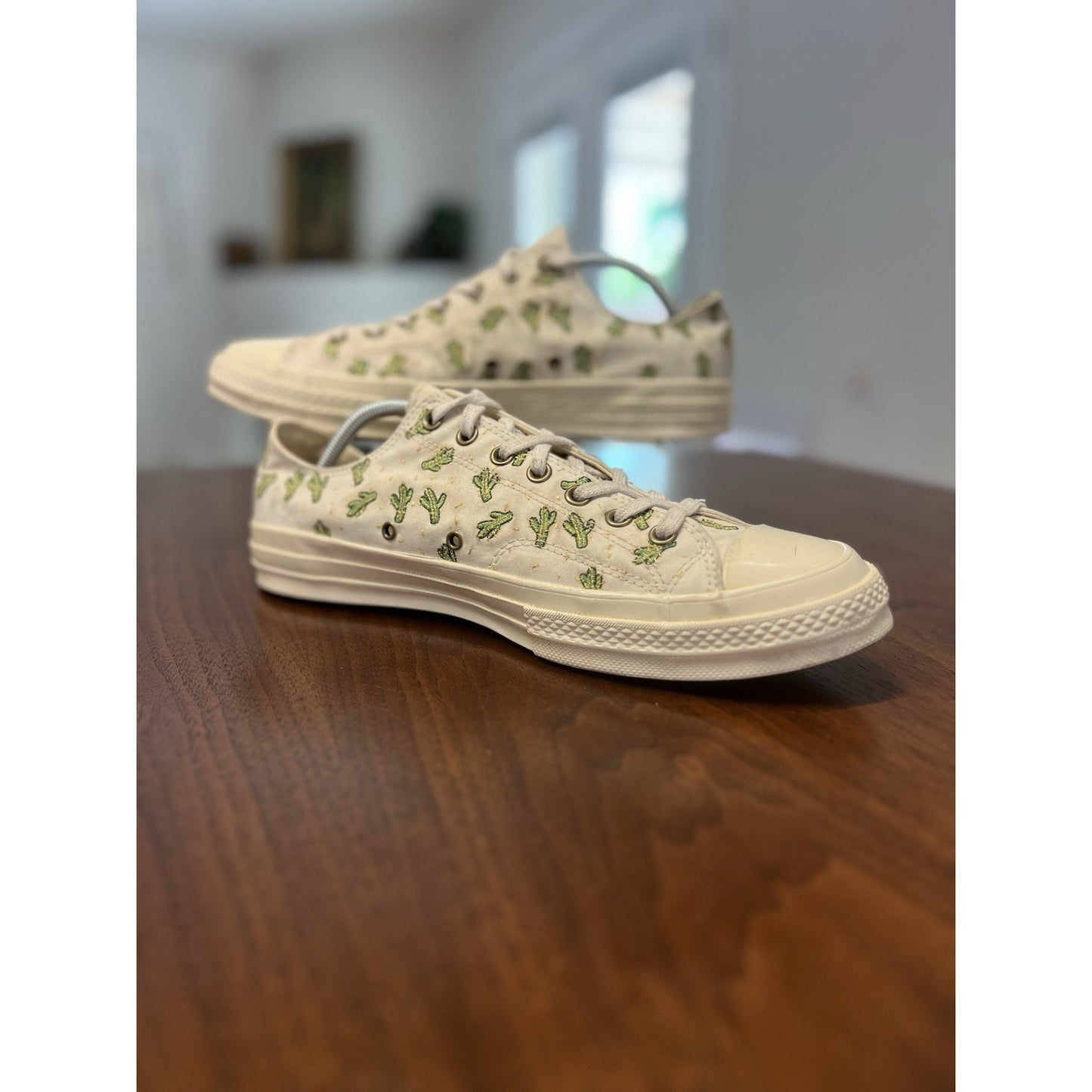 Converse Chuck 70 Low Cactus Embroidery 2018 White Off-White 161380C Sz 12