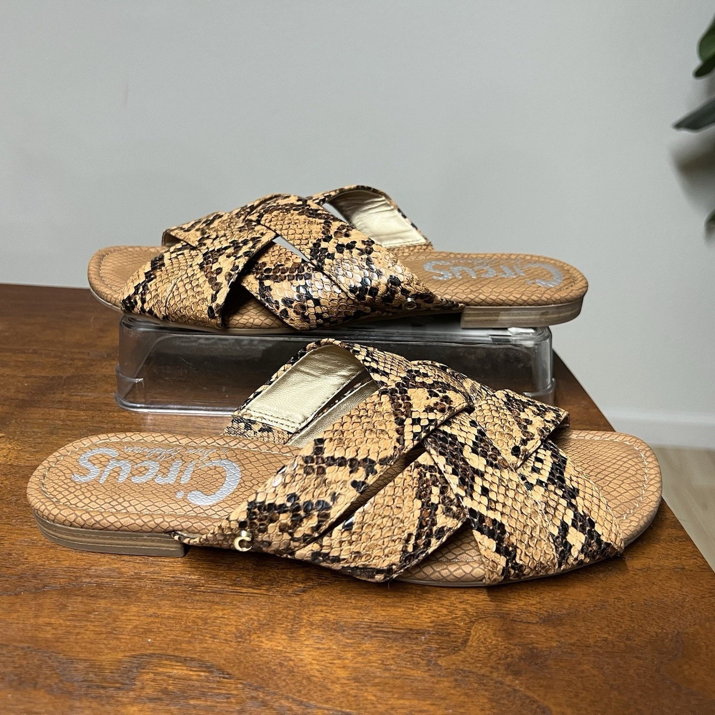Circus Sam Edelman Burnett Slides Sandal 9M Snakeskin Print Slip On Flat Shoe
