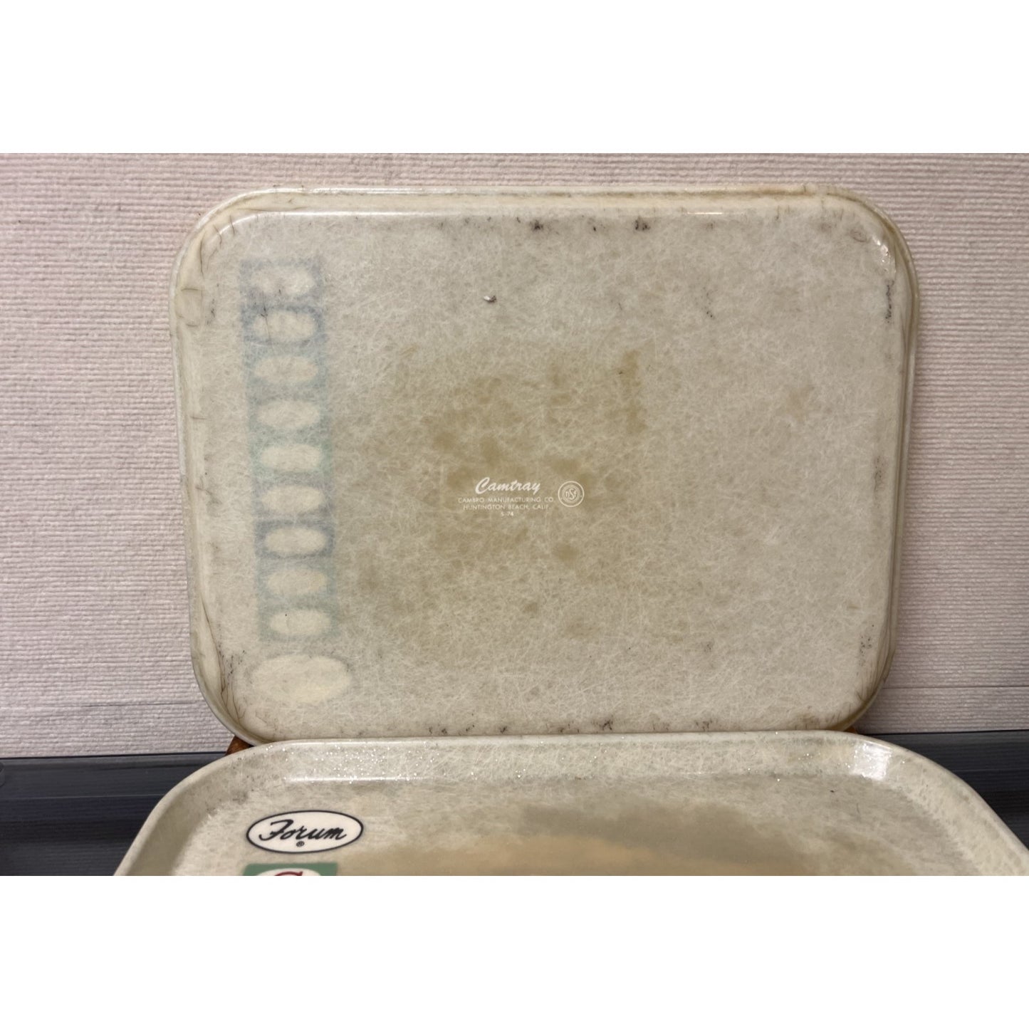 Vtg 1960s / 1970s Camtray Forum Cafeteria MCM Fiberglass Tray by Cambro Mfg Co